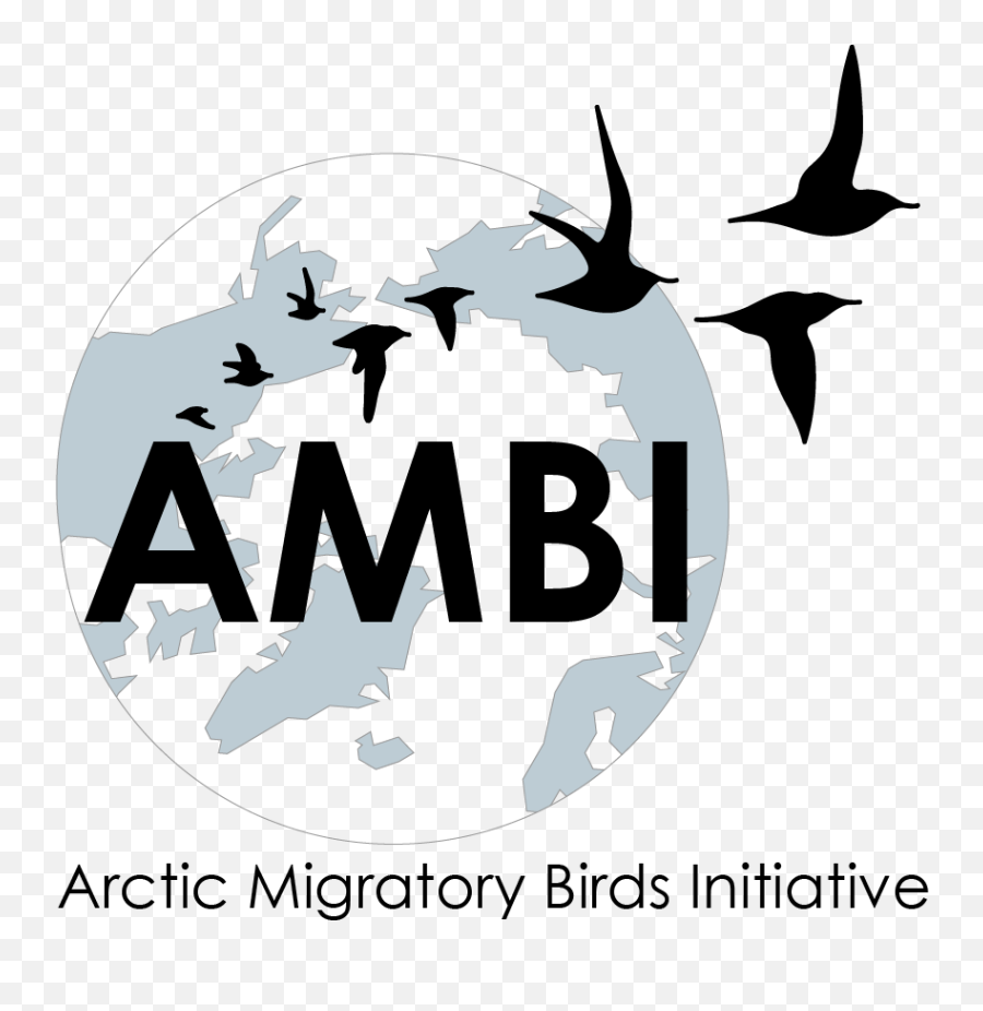 Arctic Migratory Birds Initiative East Asian - Australasian Arctic Migratory Bird Initiative Png,Bird Logos