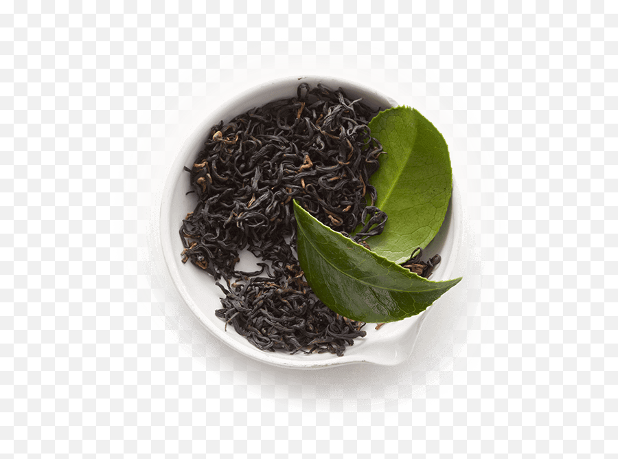 Fresh - Black Tea Fresh Black Tea Leaves Transparent Black Tea Png,Tea Leaves Png