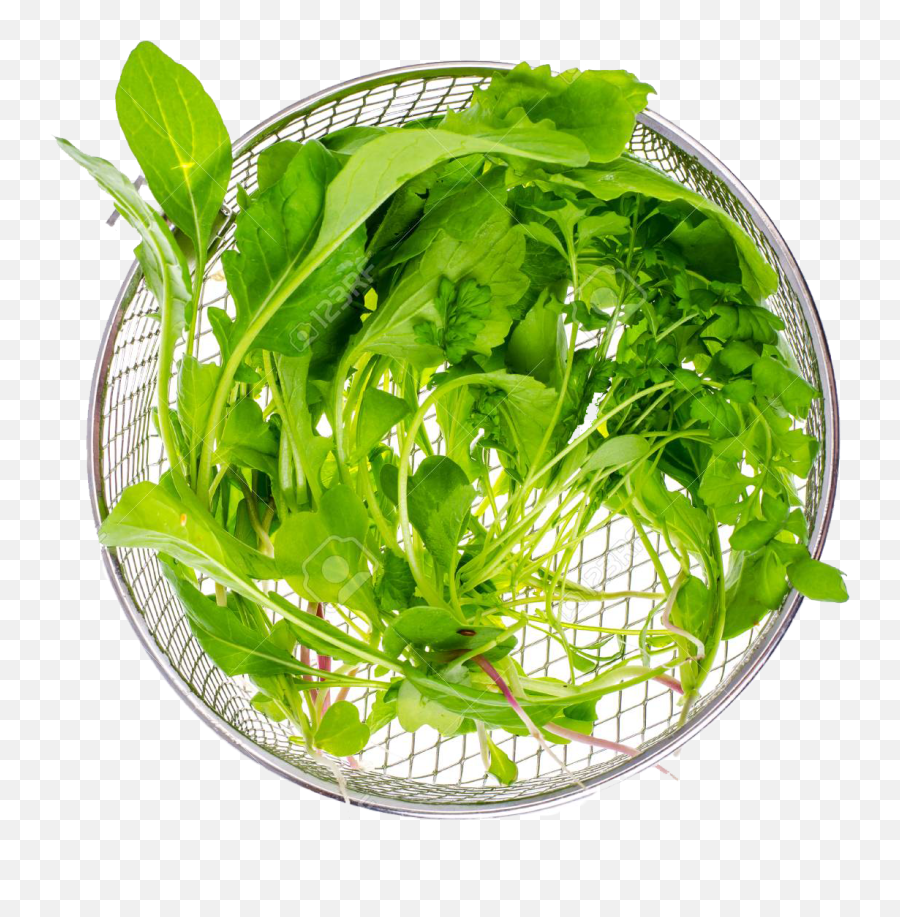 Download Vegetable Green Leaves Png - Water Spinach,Green Leaves Png