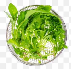Download Vegetable Green Leaves Png - Water Spinach,Green Leaves Png