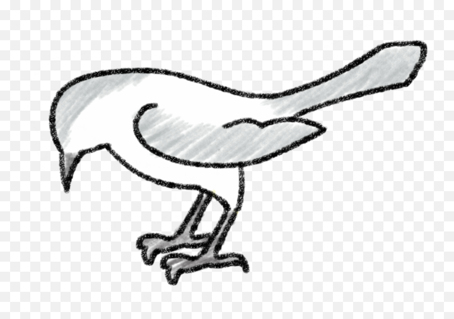 Mockingbird Drawing Step By - Easy To Draw Mockingbird Png,Mockingbird Png