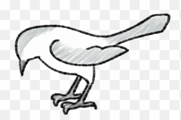 Mockingbird Drawing Step By - Easy To Draw Mockingbird Png,Mockingbird Png