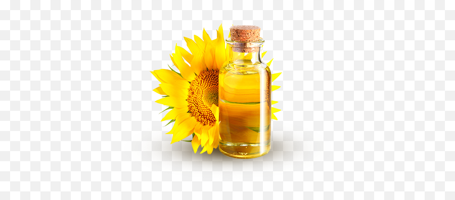 Download Free Png Sunflower Oil Image With - Sunflower Oil Png,Sunflower Transparent Background