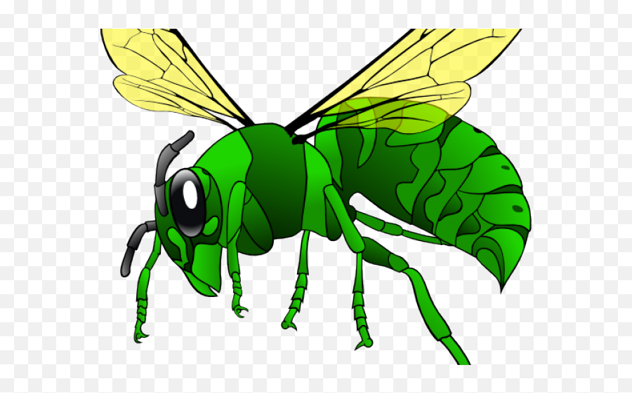 Hornet Clipart Sad - Hornet Svg Png,Hornet Png