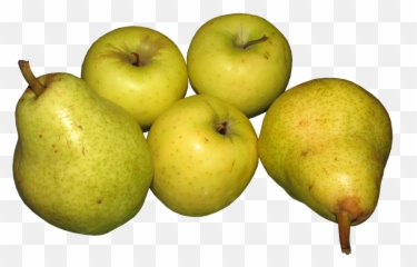Apples Pears Fruit - Imagenes De Manzanas Y Peras Png,Pears Png