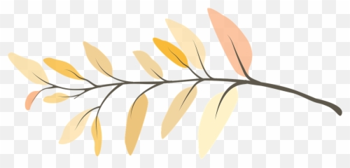 Branch Flower Twig - Galho Png
