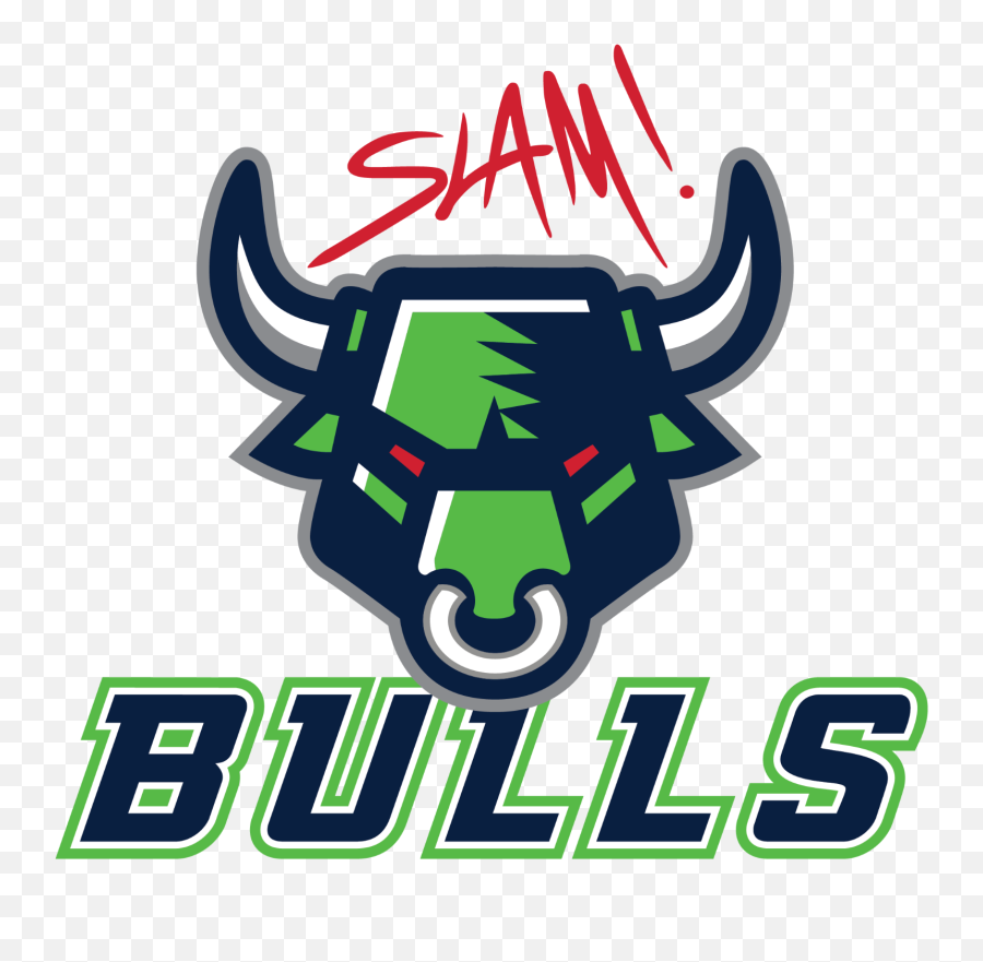 Bulls Logo Transparent Png Image - Slam Academy Of Nevada,Bulls Logo Png