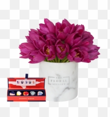 Pink Carnation Png - Lovely,Carnation Png