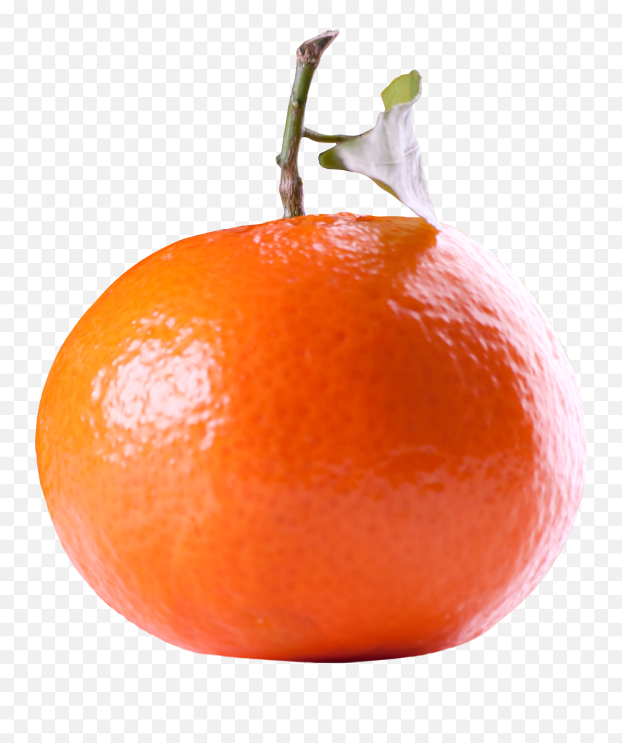 Tangerine Citrus Fruit Png Image - Tangerine,Citrus Png