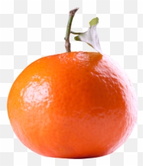 Tangerine Citrus Fruit Png Image - Tangerine,Citrus Png