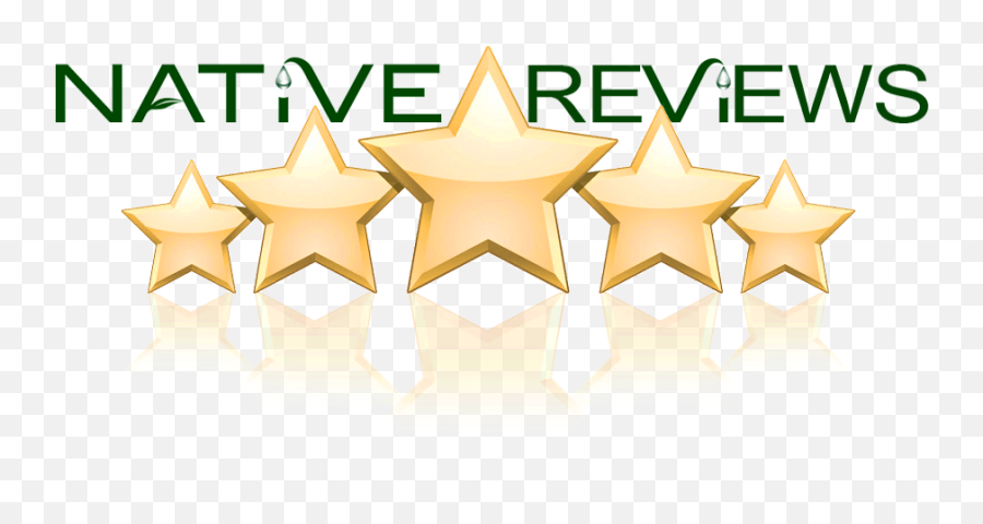 Download Reviews - Star Reviews Png,5 Star Png