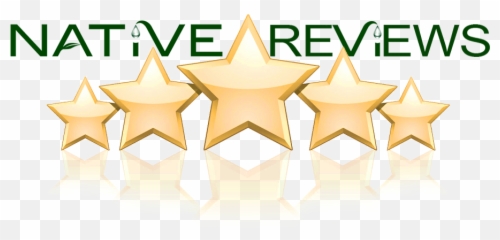 Download Reviews - Star png
