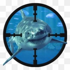 Whale Shark Sniper Shooting - Hunting Clipart Png,Whale Shark Png