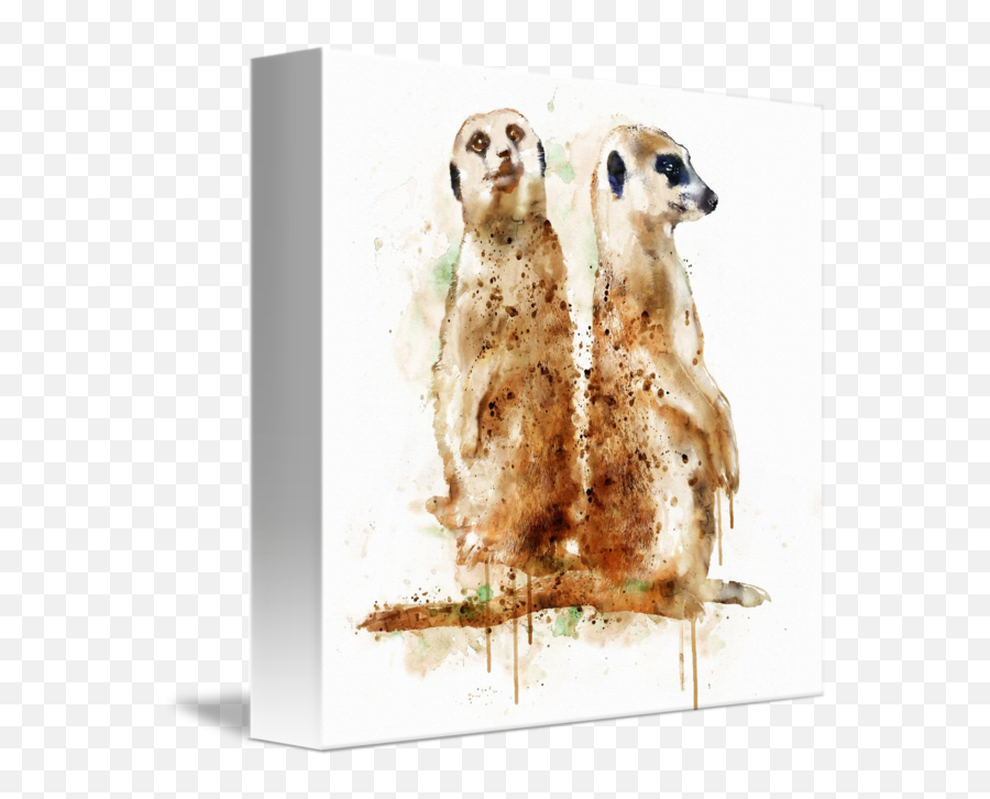 Marian Voicu Bucharest Watercolor - Meerkats Png,Meerkat Png