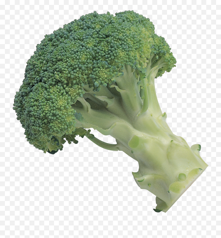Broccoli - Broccoli Transparent Background Png,Vegetables Transparent Background