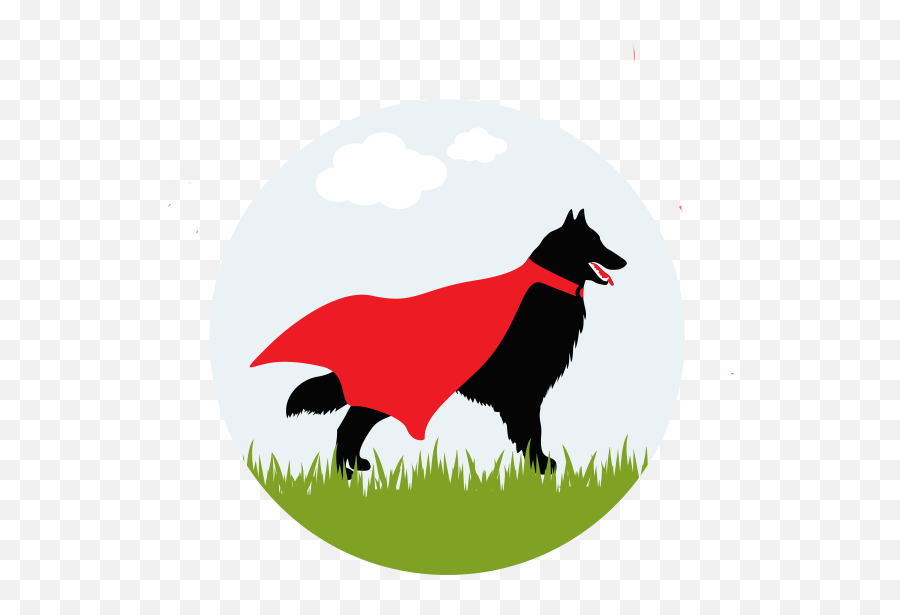 Superpet Services Riverside Ca Dog Walking Pet Sitting - Coyote Png,Dog Walking Png