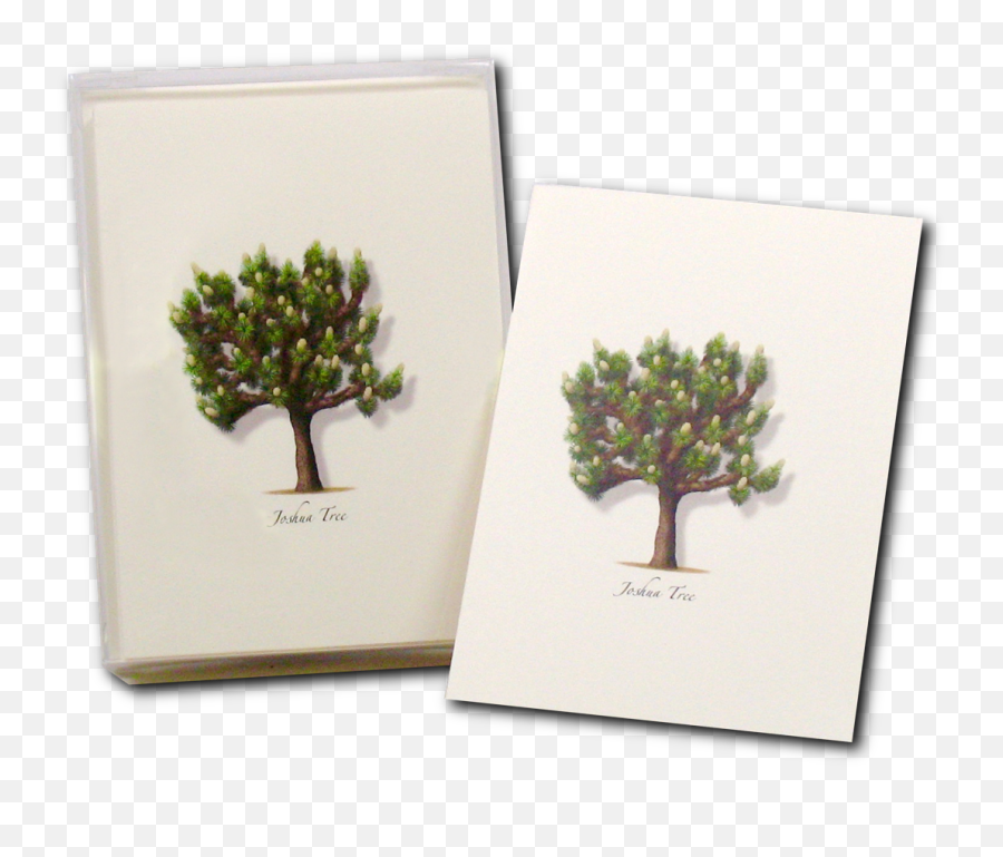 Joshua Tree Boxed Notes - Picture Frame Png,Joshua Tree Png