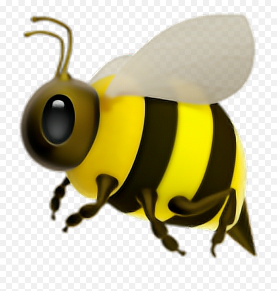Bee Emoji Ios 11 Png