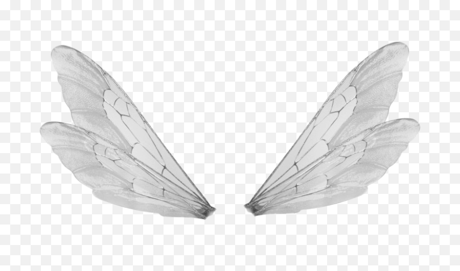 realistic fairy wings png