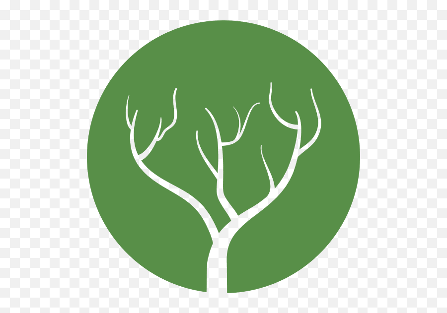 Tree Branch Icon - Canva Language Png,Tree Branch Icon