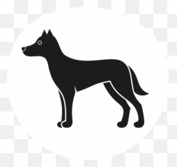 Dog Training In Your Home - Columbia Any Age Breed Northern Group png