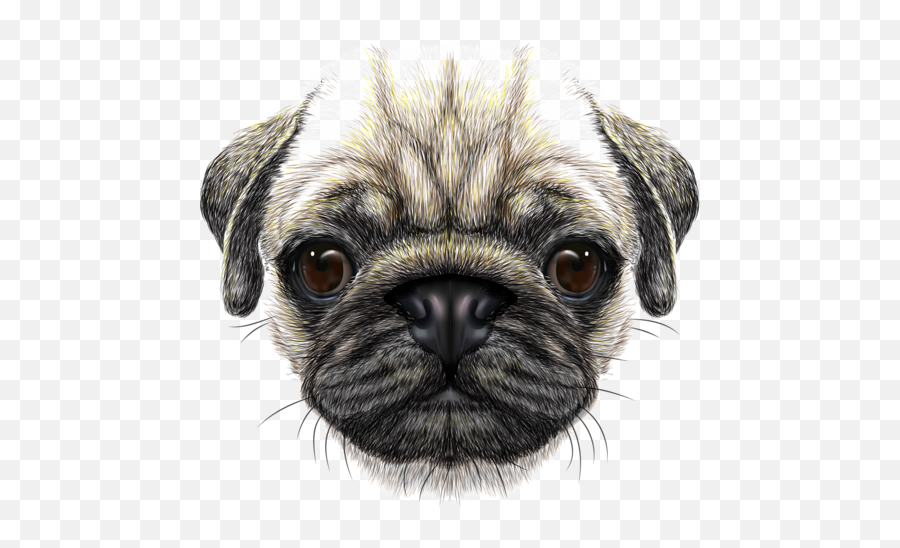 Png Free Library Scarf Vector - Pug Dog Face Png,Dog Face Png