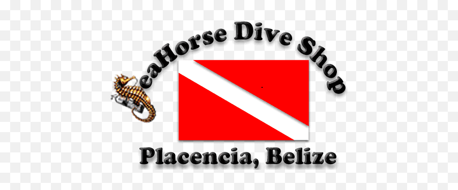 Belize Scuba Diving Snorkeling And Adventure Seahorse Png 30 Sided Dive Icon