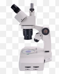 49 Microscope Png Images Collection Free Download - Laboratory Instrument Png,Microscope Transparent Background