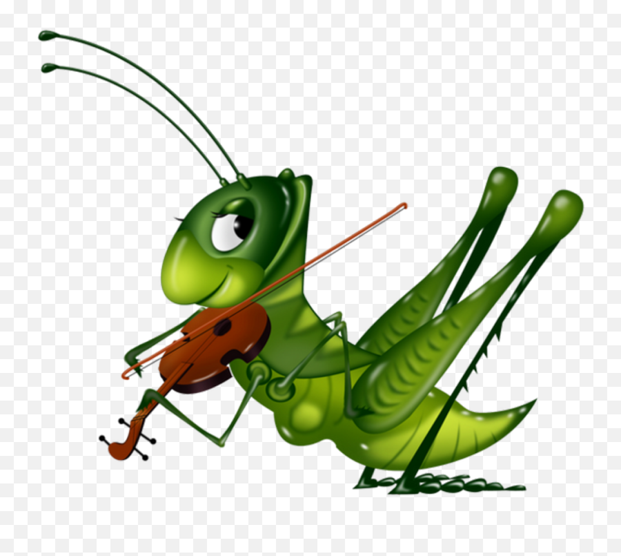 Download Hd Graphic Free Cricket Bug Clipart - Grasshopper Cricket Insect Drawing Png,Grasshopper Png