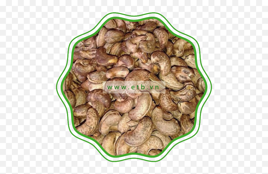 Roasted Cashew Kernels U2013 Etb - Cashew Png,Cashew Png