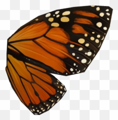 Download 10 Pm 186711 Stonewall - Monarch Butterfly Wings Png,Butterfly Wing Png