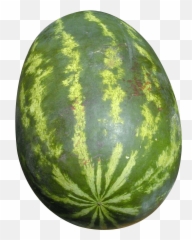 Free Psd And Png Downloads - Watermelon