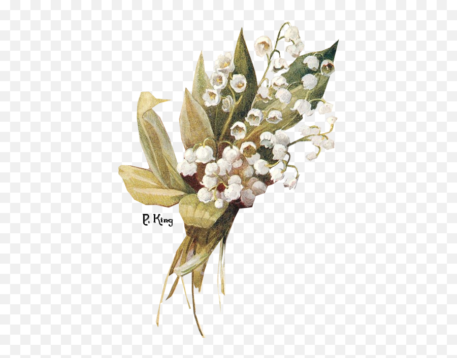 Download Lily Of The Valley Png Free - Free Free Vintage Lily Of The Valley,Lily Transparent