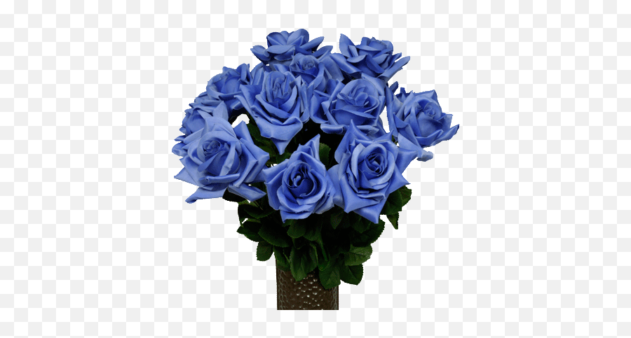Bulk Blue Roses 20369210 Wallpaper Gallery - Blue Roses Bouquet Transparent Png,Blue Rose Png