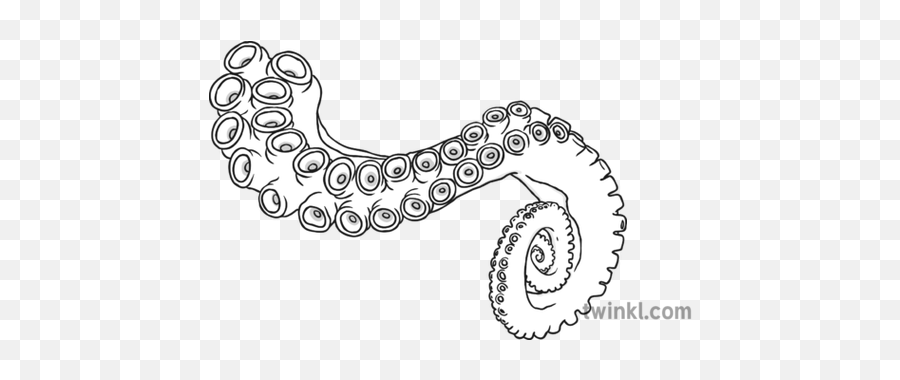 Tentacle Black And White Illustration - Twinkl Line Art Png,Tentacle Png