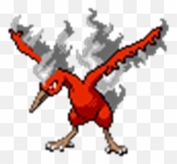 Moltres - Generation 1 Legendary Pokemon Png,Moltres Png