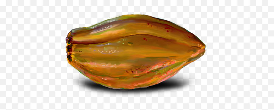 Oobites Cacao Pod - Cacao Fruit Transparent Png,Cacao Png