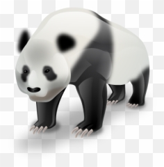 Panda Bear Icon Png Transparent Background Free Download - Png 3d