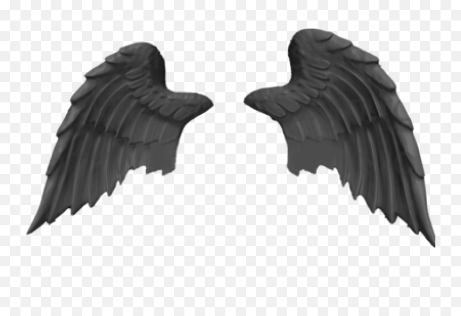 Bird Angels Wings Png - Transparent Photo Image Free Pankh Png,Wings Transparent