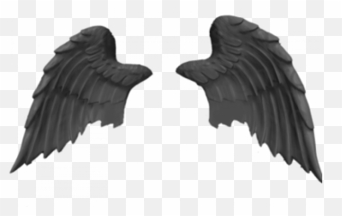 Bird Angels Wings Png - Transparent Photo image free Pankh Png