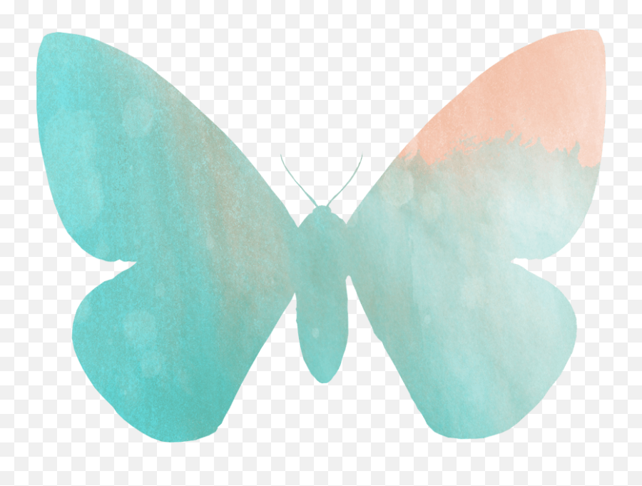 Summer Freebies Butterfly Coloring Pages U0026 Clip Art - Lycaenid Png,Watercolor Butterfly Png