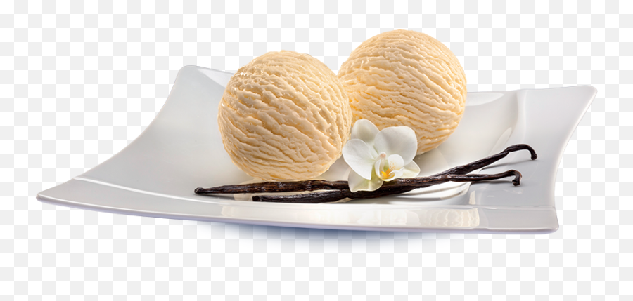Ice Cream Collection - Vanilla Ice Cream Plate Png,Vanilla Ice Cream Png