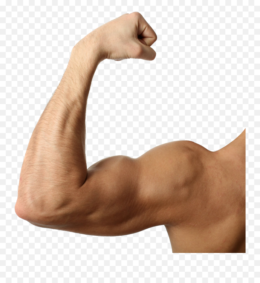 Muscle Png Image - Purepng Free Transparent Cc0 Png Image Muscular Arm Transparent Background,Body Builder Png