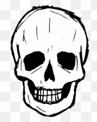 8 Skull Drawing Vector Png - Transparent Background