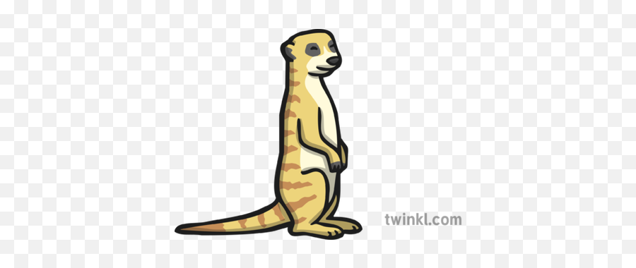 Meerkat Icon Illustration - Meerkat Black And White Png,Meerkat Png