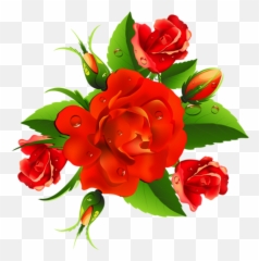 Rosas Rojas Png - Imagen Flores Im Genes 8 March Motheru0027s Womens Day Rose Png,Rosas Rojas Png