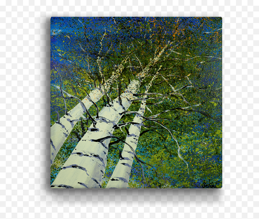 Skyward Aspen Trees Box Art - Vertical Png,Aspen Tree Png