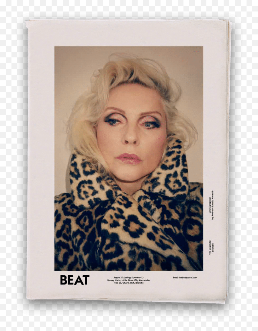 Debbie Harry Blondie - Picture Frame Png,Debbie Harry Fashion Icon