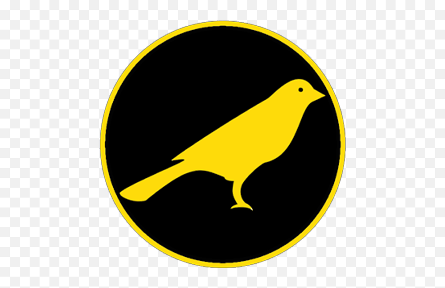 Schuylkill County News Infographics - Coal Region Canary Songbirds Png,News Report Icon