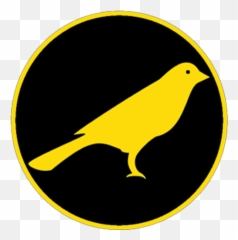 Schuylkill County News Infographics - Coal Region Canary Songbirds png